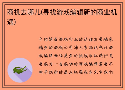 商机去哪儿(寻找游戏编辑新的商业机遇)